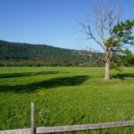 Paysage jurassien