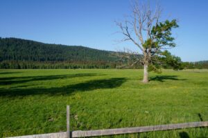 Paysage jurassien