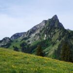 Paysage de montagne