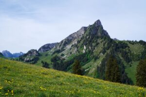 Paysage de montagne