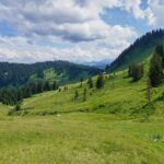 Paysage de montagne