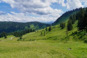Paysage de montagne