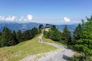 Paysage de montagne