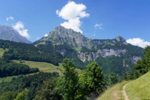 Paysage de montagne