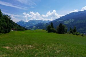 Paysage de montagne