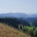Paysage de plaine