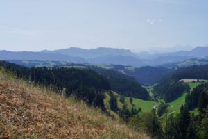 Paysage de plaine