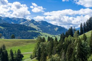 Paysage de montagne