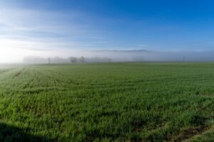Paysage jurassien